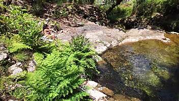 whoa surprised this curvy milf beach flashing turns into rough fuck