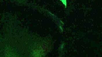 Alice Dubois gets fucked outdoors on car exhibition style