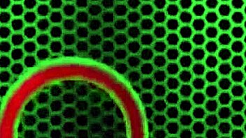 Asian Milf Maxine X Spied Then BBC Creampied Hard