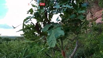 Novinha, check how you ride that huge rola cowgirl style outdoors