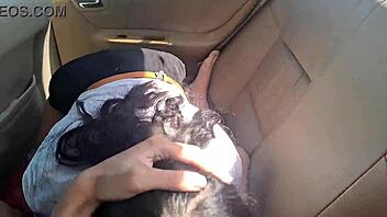 pov fucking horny schoolgirl in car craving public pounding