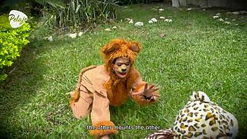 Wild lion leopard mix game turns into outdoor lesbian pussy licking frenzy.