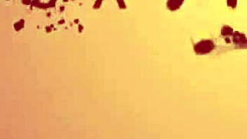 Monster cock rips savannah watson's stepsister tight asshole in crying anal pov gaping