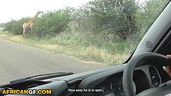big booty ebony gf takes pov doggystyle pounding from american bwc deepthroat domination