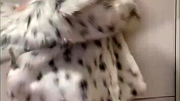 Hey, isn't Elza Kom's sexy dance and suck super hot?