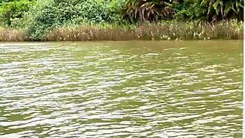 Jungle views with bikini soap bubbles