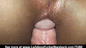 ladyboy lee swallows cock